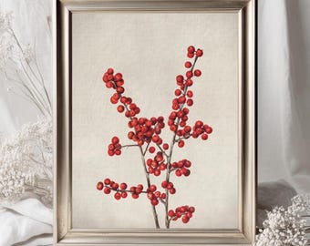 Könnte beinhalten: Ein gerahmter Druck einer botanischen Illustration mit einem Zweig roter Beeren. Der Druck hat einen weißen Hintergrund und ist in einem silbernen Rahmen gerahmt. Der Text "OLD OAK PRINTS" ist unter dem Bild gedruckt.