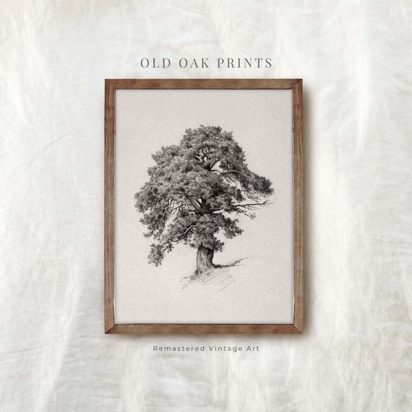 Modern Vintage Old Oak Print | Tree Sketch Art | Neutral Oak Tree Drawing Wall Art | PRINTABLE Digital | 921