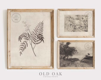 Botanical Sketch Print SET | Vintage Prints Neutral Beige | Antique Farmhouse Decor PRINTABLE | 073-S3