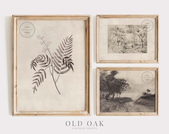 Botanical Sketch Print SET | Vintage Prints Neutral Beige | Antique Farmhouse Decor PRINTABLE | 073-S3
