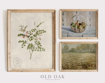 Farmhouse Print SET: Vintage Botanical, Landscape, Still Life (Digital Download)