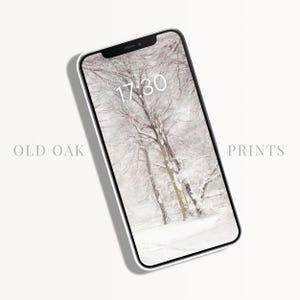 Snow Wallpaper iPhone Background, Vintage Winter Aesthetic, Christmas iPhone Background, Antique White Art, Winter Phone Wallpaper | P291