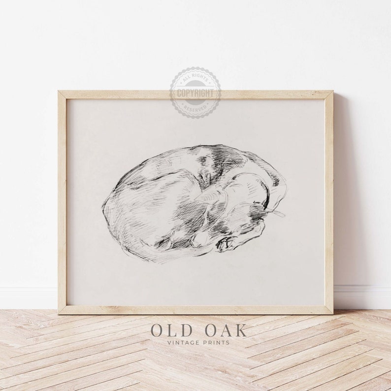 Sleeping Dog Sketch Antique Portrait Dog Drawing PRINTABLE Wall Art Country Home Décor 707 image 6