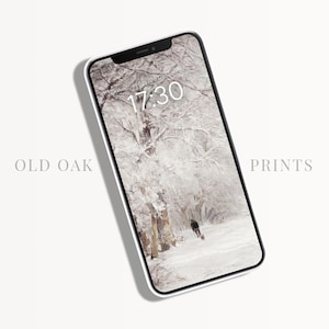 Winter Wonderland Wallpaper, iPhone Background, Winter Snow Wallpaper Aesthetic, Christmas Aesthetic iPhone Wallpaper | P290