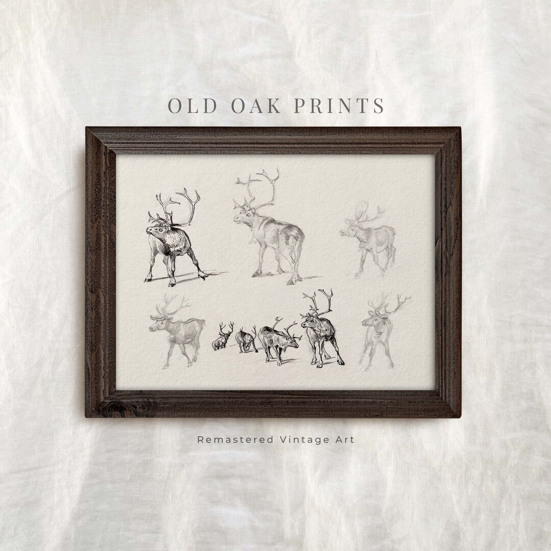 Vintage Weihnachten Rentier Druck Skizze Kunst Winter - Etsy.de