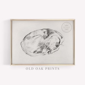 Sleeping Dog Sketch Antique Portrait Dog Drawing PRINTABLE Wall Art Country Home Décor 707 image 1
