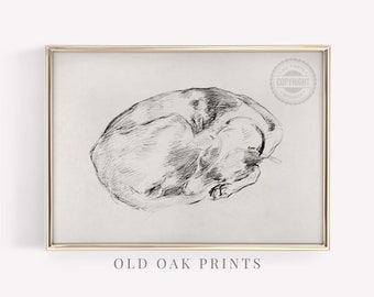 Sleeping Dog Sketch | Antique Portrait Dog Drawing | PRINTABLE Wall Art | Country Home Décor | 707