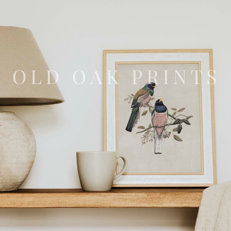 Vintage Song Bird Nursery Decor for Girls Room Bird on a Etsy