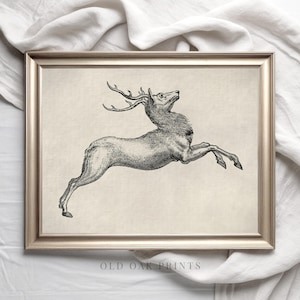 Antique Deer Sketch | Vintage Etching | Antique Woodland Animal Art PRINTABLE | Christmas print | 545