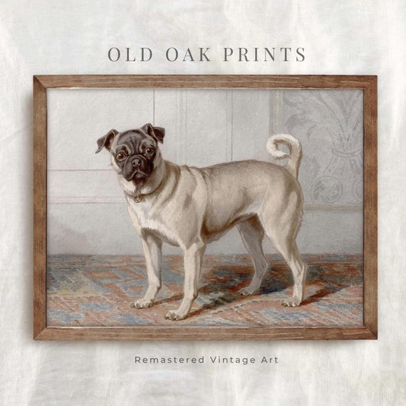 ヴィンテージパグのポートレートプリント：アンティーク水彩画ペット