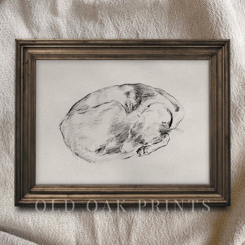 Sleeping Dog Sketch Antique Portrait Dog Drawing PRINTABLE Wall Art Country Home Décor 707 image 5