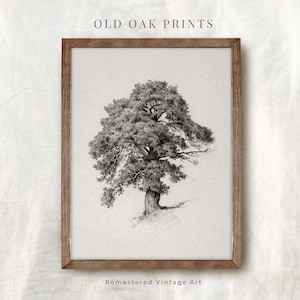 Vintage Tree Drawing | Old Oak Art Print | Tree Sketch Art | Biege Boho Modern Neutral Decor Wall Art | PRINTABLE Digital Art | 921