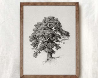Vintage Tree Drawing | Old Oak Art Print | Tree Sketch Art | Biege Boho Modern Neutral Decor Wall Art | PRINTABLE Digital Art | 921