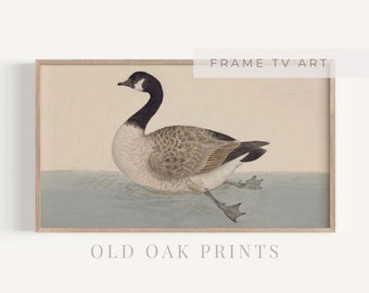 Vintage Canada Goose TV Art: Farmhouse Samsung Frame (Digital Download)