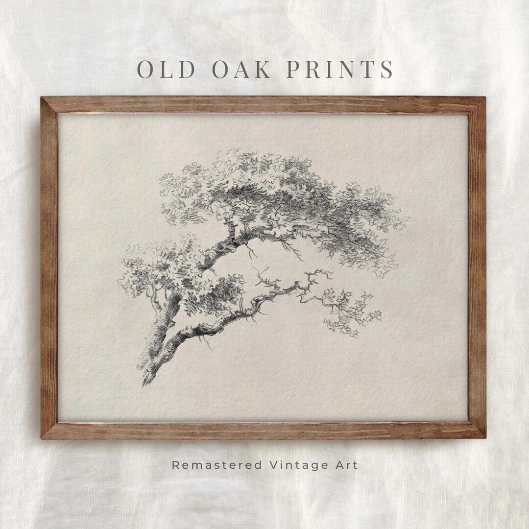 Neutral Rustic Tree Sketch | Botanical Branch Drawing | Modern ...