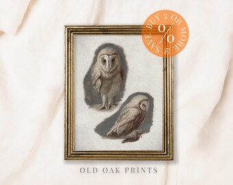 Antique Owl Painting: Vintage Nursery Decor (Printable Digital Art)