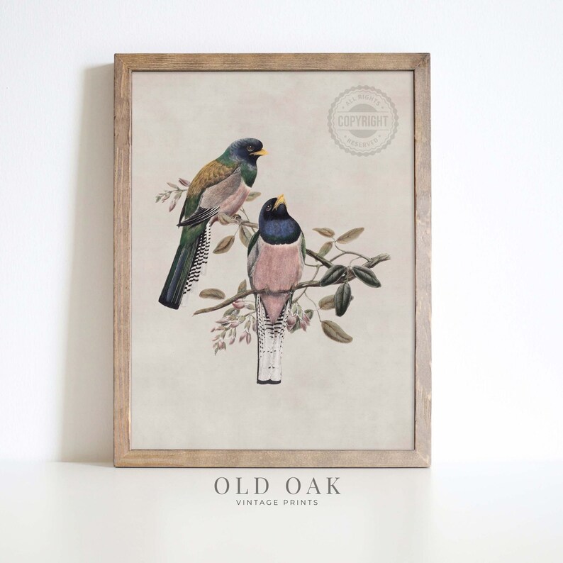 Vintage Song Bird Nursery Decor for Girls Room Bird on a Etsy