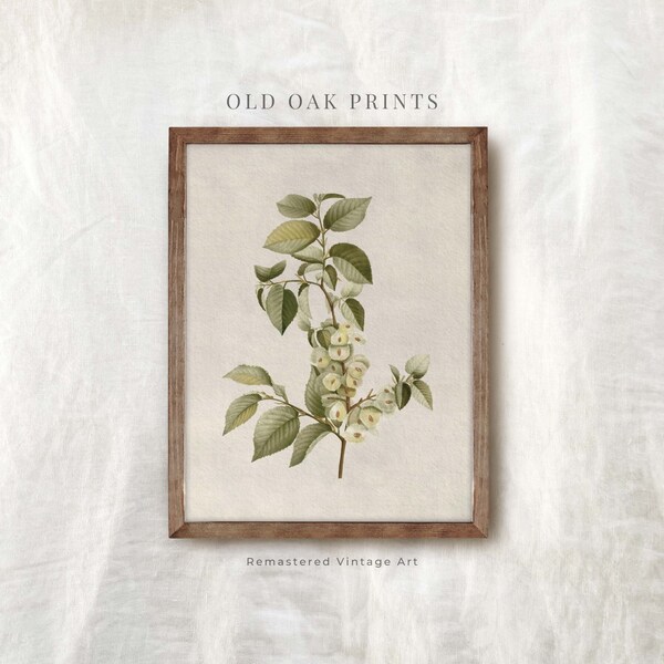 Vintage Kitchen Art - Etsy