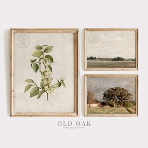 Spring Gallery Wall Set | Vintage Muted Green Neutral Tone Prints ...