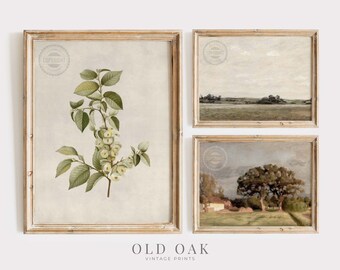 Spring Gallery Wall Set | Vintage Muted Green Neutral Tone Prints | Digital PRINTABLE | 048-S3