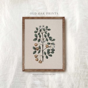 Vintage Botanical Print | Antique Berry Country Farmhouse Watercolor | Digital PRINTABLE | 134