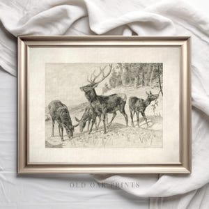 Impresión vintage de boceto de ciervo / Arte antiguo de vivero de bosque (descarga digital)