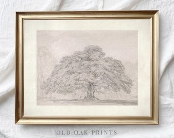 Old Oak Tree Sketch Art | Neutral Landscape Drawing Wall Art | PRINTABLE Digital | 510