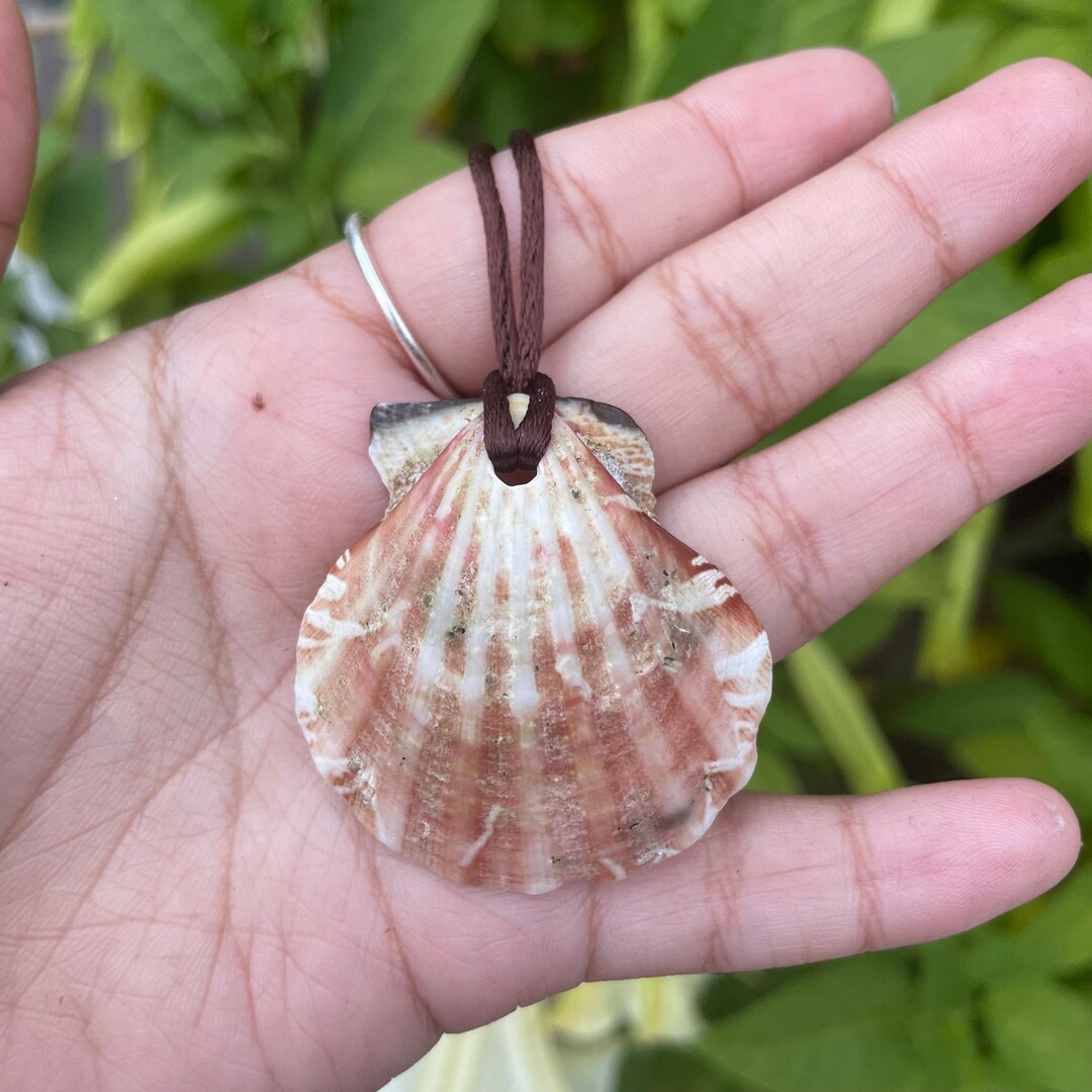 Where the Crawdads Sing Inspired Seashell Necklace Etsy