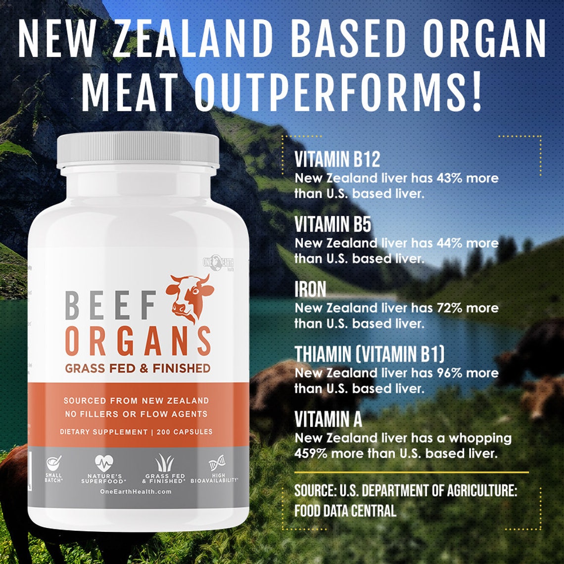 Grass Fed Beef Organs 200 Count Liver Heart Kidney Etsy