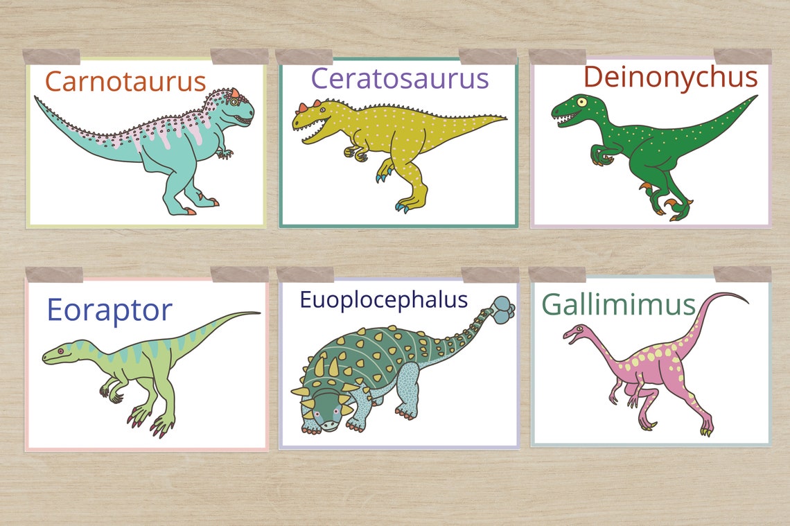Dinosaur Flash Cards / Printable / Homeschool / Preschool / | Etsy