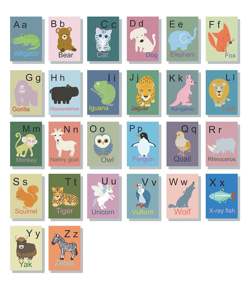 Animal Alphabet Flash Cards, ABC Animal Activity Cards, Homeschool or