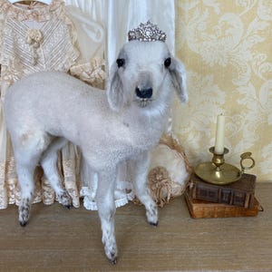 Puede incluir: Un cordero disecado blanco con una tiara plateada. El cordero tiene ojos y pezuñas negras. Una vela en un portavelas de latón y dos libros antiguos están sobre una superficie de madera. Un vestido vintage cuelga en el fondo.