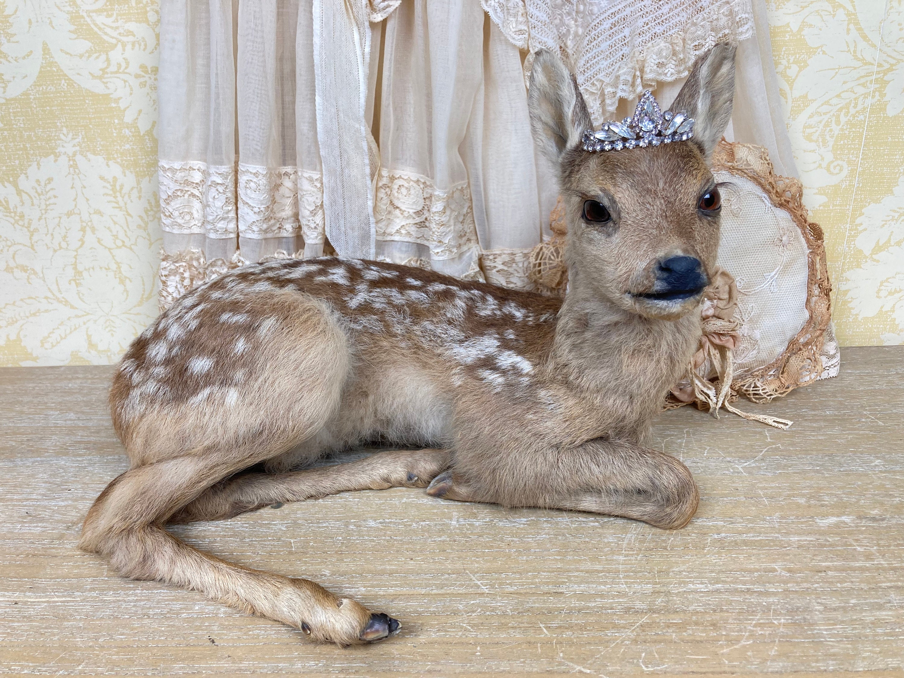 Faire-part naissance biche, animaux : cerf, biche et bébé faon