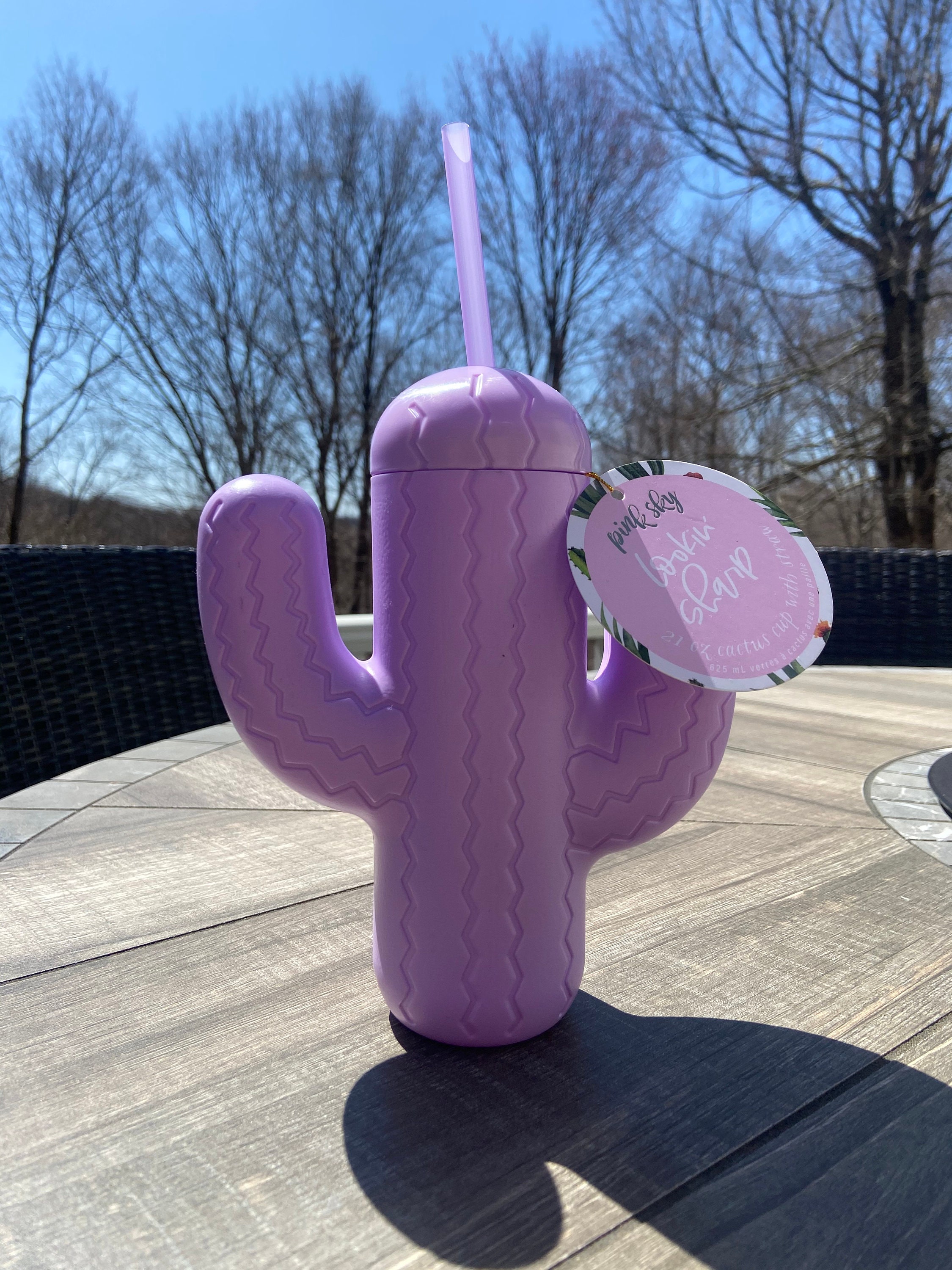 21 oz cactus cup with straw Etsy