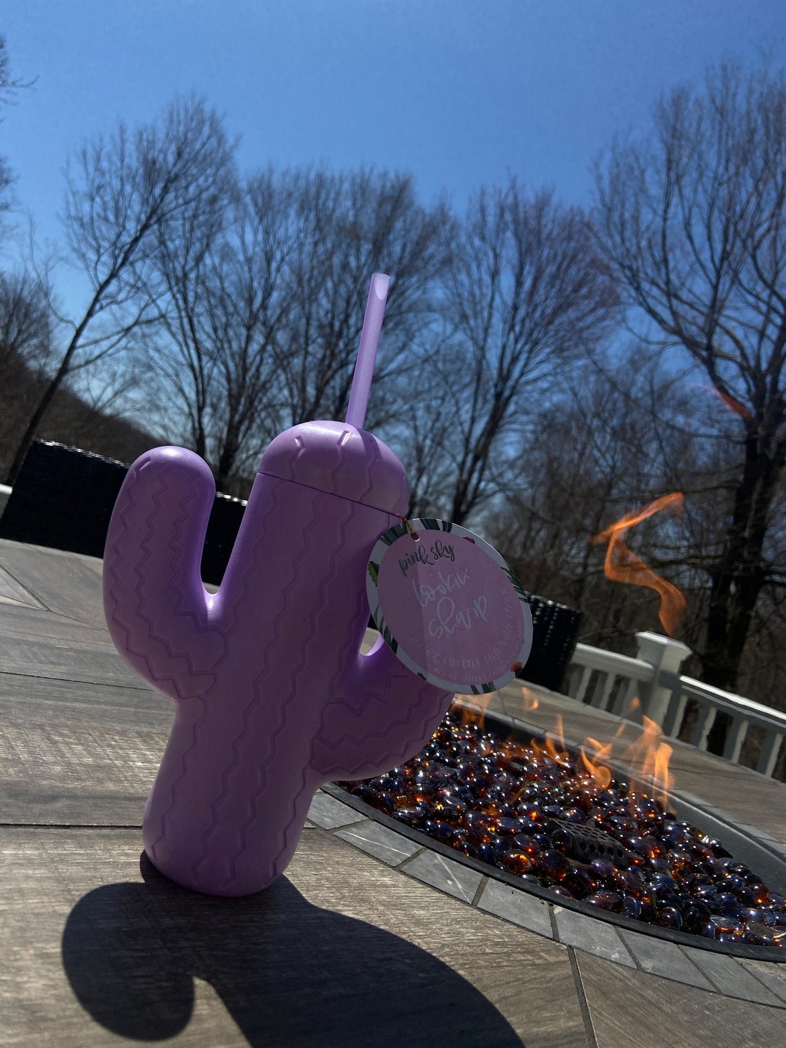 21 oz cactus cup with straw Etsy