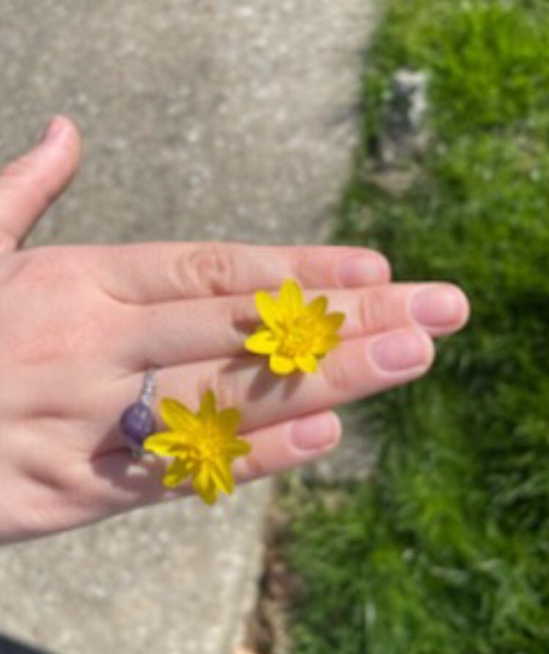 Wire Wrapped Rings