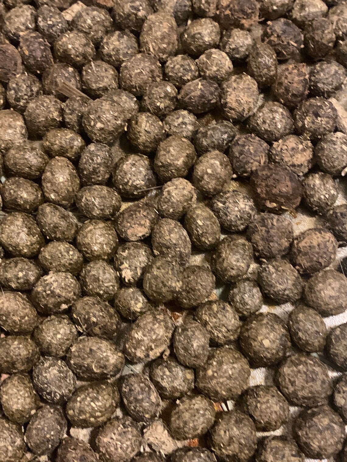 Organic Rabbit Manure Fertilizer Etsy