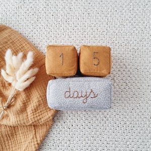 Bloques de hitos de Speckles para bebés, bloques de hitos de edad bordados a mano, bloques mensuales de bebé en gris y marrón, regalo para nuevo sobrino