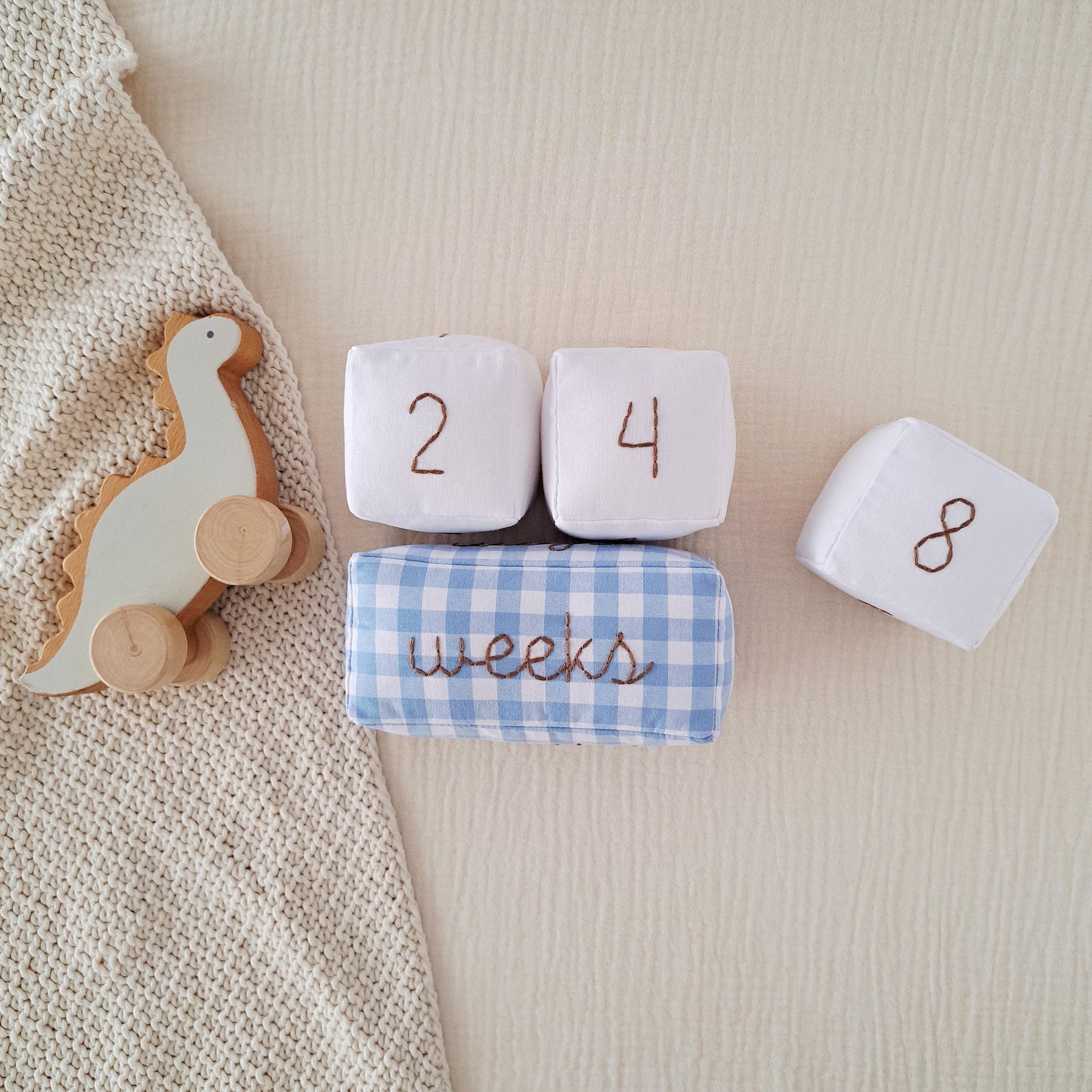 Month Markers Blocks With Light Blue Checkered Print - Age Milestone ...