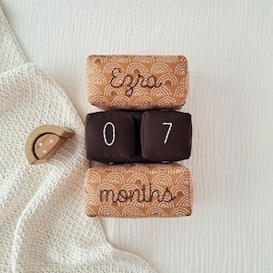 Può includere: Blocchi di stoffa per bambini con dettagli ricamati. I blocchi superiori e inferiori sono beige con un motivo a semicerchio bianco e le parole "Ezra" e "months". I blocchi centrali sono marrone scuro con i numeri "0" e "7". Un giocattolo di legno è a sinistra.