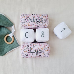 Bloques de marcadores de edad rellenos con flores: accesorios de fotografía para fotos de hitos de crecimiento: regalo para niña