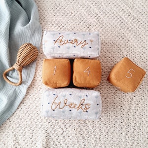 Hitos mensuales personalizados, bloques de tela para la edad del bebé, bloques de hitos mensuales con forma de diente de león, marcadores de hitos grises y marrones, accesorios para fotos para niños