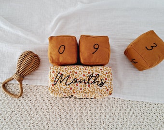 Cloth milestone blocks, Modern age blocks, Baby month blocks with leopard print, Monthly milestones embroidery,  Photo prop for babies