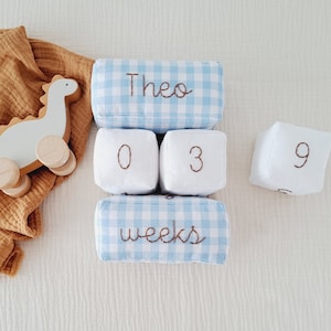 Monthly baby blocks with personalized name, Blue gingham month blocks, Custom milestone blocks for baby boy, Birth gift for expecting mom