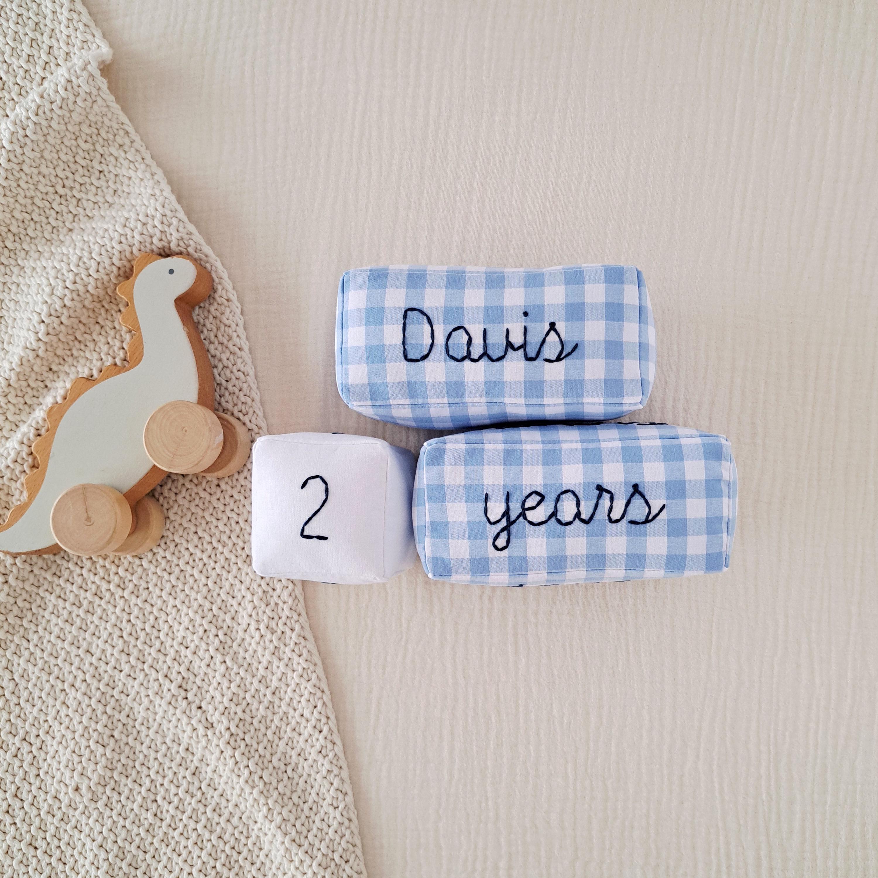 Month Markers Blocks With Light Blue Checkered Print - Age Milestone ...
