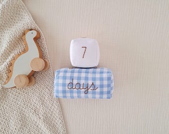 Monthly baby blocks with personalized name, Blue gingham month blocks, Custom milestone blocks for baby boy, Birth gift for expecting mom