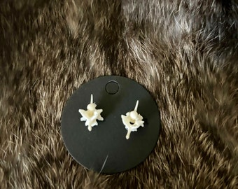 Viper Vertebrae Stud Earrings