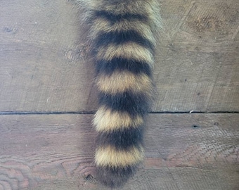 Raccoon tail keychain, costume piece, tail attachment, genuine fur