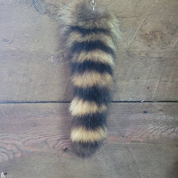 Raccoon tail keychain, costume piece, tail attachment, genuine fur