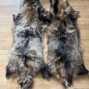 Craft Grade Tanuki Pelt, Tanuki Pelt, Genuine Tanuki Fur
